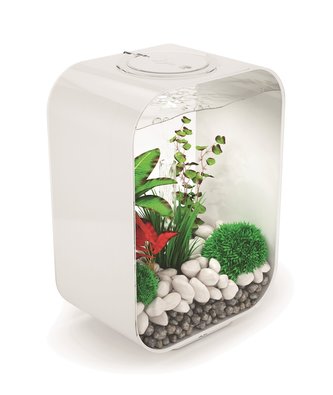 Akvarium BIORB Life Portrait bile 15l