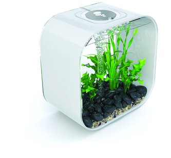 Biorb Life Square akvarijní set bílý 30l
