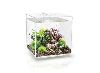 Akvarium BIORB CUBE MCR bile 30l