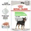 Kapsička Royal Canin CCN Wet Digestive Care 12x85g (BAL.)