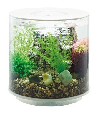 Akvarium BIORB TUBE MCR bile 15l