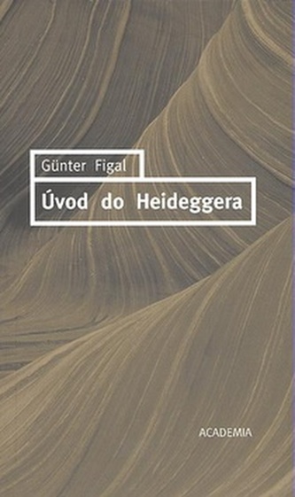 Úvod do Heideggera