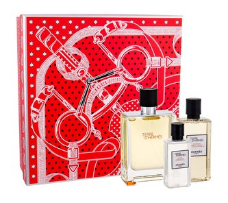 Hermes Terre D´Hermes toaletní voda 100 ml + sprchový gel 80 ml + voda po holení 40 ml