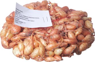 Sazečka - Sturon 250 g 7-14 mm  (cena bez slev)