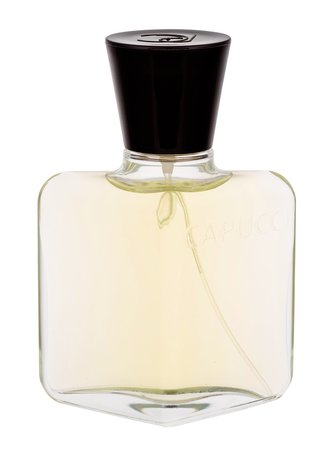 Roberto Capucci Capucci Pour Homme Toaletní voda 100 ml pro muže