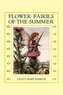 Flower Fairies of the Summer