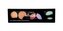 L´Oréal Paris Infallible Korektor Total Cover 10 g pro ženy