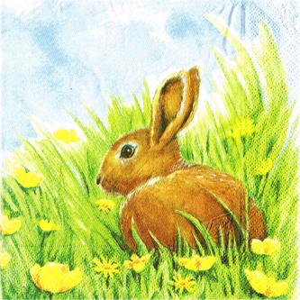 Obrousky Herlitz L 33x33 cm s velikonoční potiskem