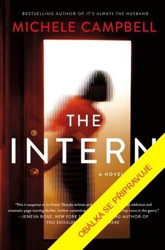 Hra na kočku a myš