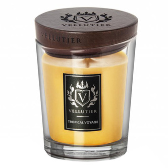 Medium Candle - Tropical Voyage, Medium Candle | Yellow | Fruity | Tropical Voyage