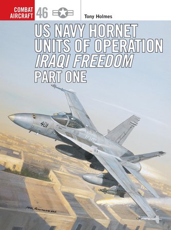 US Navy Hornet Units of Operation Iraqi Freedom, Part One