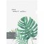 Obal A4 monstera