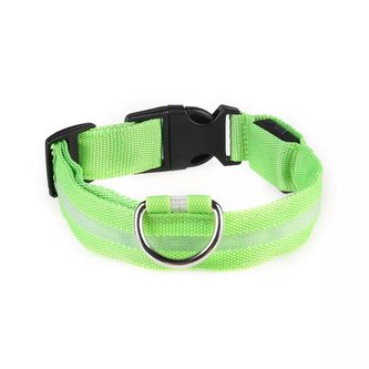 LED Obojek pro psa Mesh /Zelená L