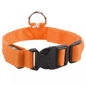 LED Obojek pro psa Mesh /Oranžová S LED Obojek pro psa Mesh /Oranžová S