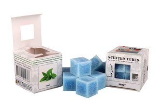 Vonný vosk Scented cubes - mint (máta)