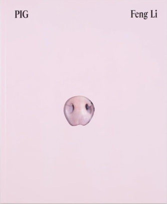Feng Li - PIG