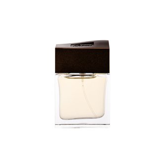 Brioni Brioni Parfémovaná voda 30 ml pro muže