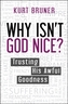 Why Isn't God Nice?