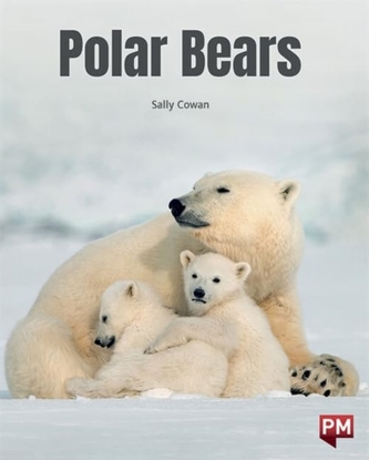 POLAR BEARS