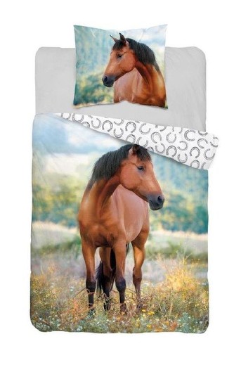 DETEXPOL Povlečení kůň ve stepi  Bavlna, 140/200, 70/80 cm