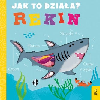 Jak to działa Rekin
