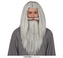 Šedá paruka s vousy