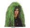 Zelená paruka čarodějnice
