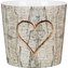 Obal 870 Albero Romanzo 15