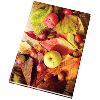 Záznamní kniha A5 čistá 200 l.