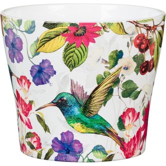 Obal 808 Tropicana 17