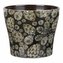 Obal 808 Royal glimmer 17