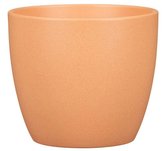 Obal 920 Rosata 14