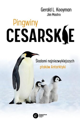 Pingwiny cesarskie Pingwiny cesarskie