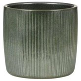 Obal 909 Luxury green 13