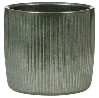 Obal 909 Luxury green 13