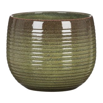 Obal 744 Wild Jungle 21