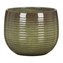 Obal 744 Wild Jungle 21