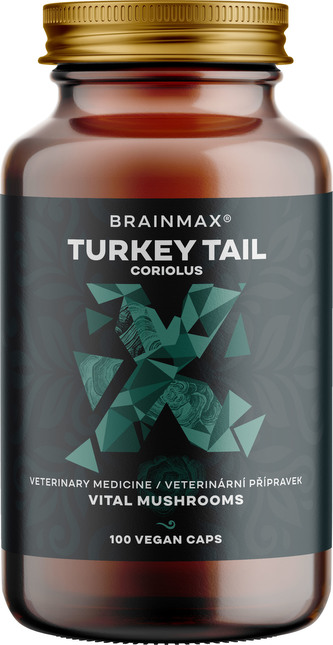 BrainMax Turkey Tail (Coriolus) extrakt, 50% koncentrace polysacharidů a 20 % ?-1,3/1,6 D-glukanů, 500 mg, 100 rostlinných kapslí