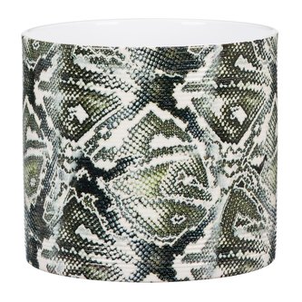 Obal 828 Reptile 16