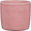 Obal 900 Rosea 21