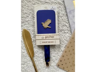 Hřeben/kartáč na vlasy modrý, Havraspár, Harry Potter Hřeben: Stříbrný znak koleje