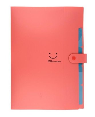 Teczka plastikowa A4 z 5 przegródkami czerwona