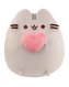 Pusheen se srdcem