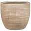 Obal 866 Canela 16