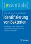 Identifizierung von Bakterien