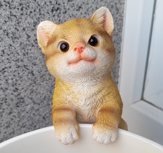 Kočka polyston závěsná zrzavá