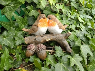 Ptáčci na větvi se žaludy