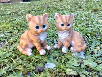 Kočka rezavá sedící