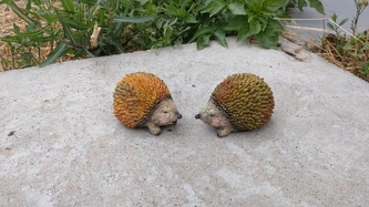 Ježek poly podzimní malý