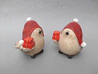 Ptáček v červené čepici menší